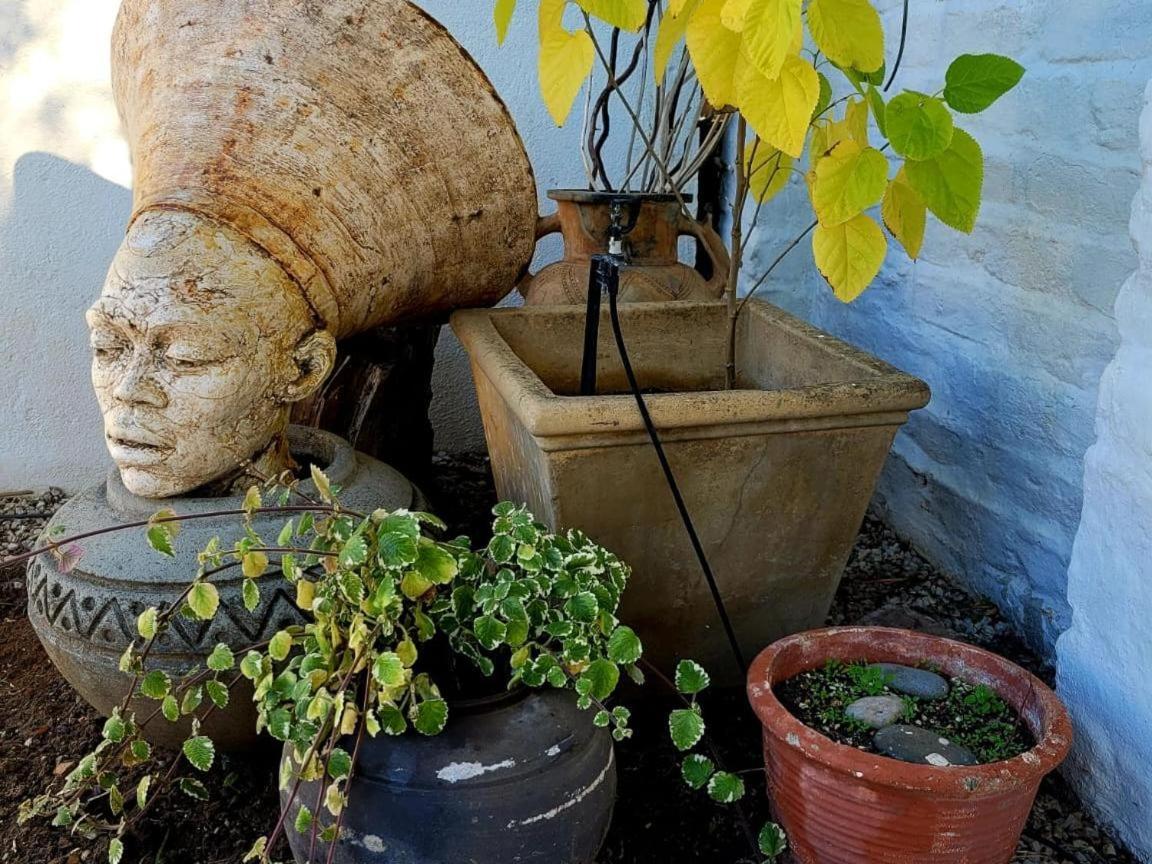 Acacia Home Graaff Reinet Bagian luar foto